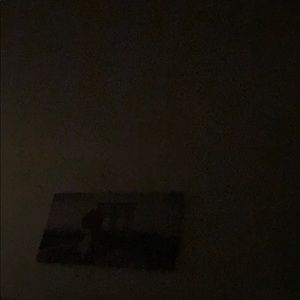 Meet your Posher, Shirley